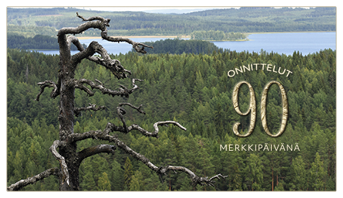 2-os vuosikortti 90v