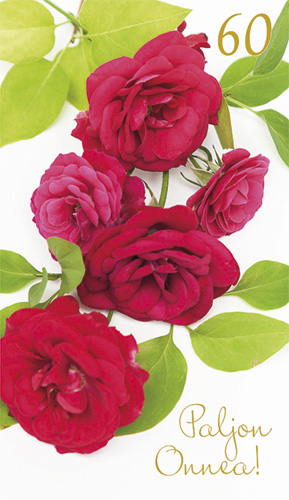 2-os vuosikortti 60v