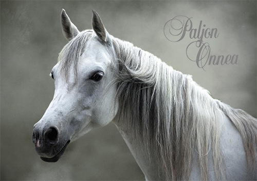 1-os eläinkortti hevonen