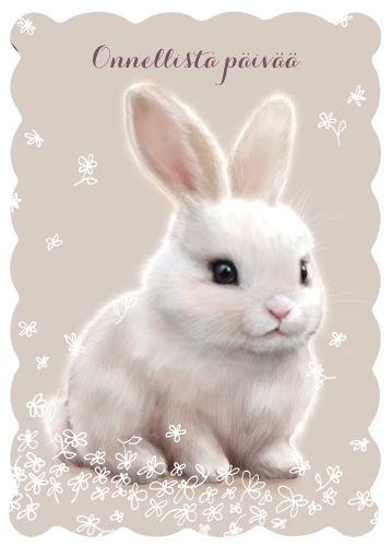 1-os kortti Mainelakeus