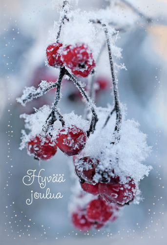 Liikejoulukorttipussi Kati Pekkarinen