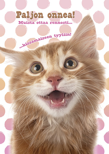 1-os eläinkortti kissa