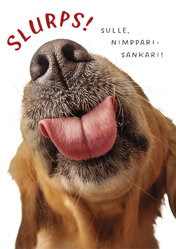 1-os nimipäivä