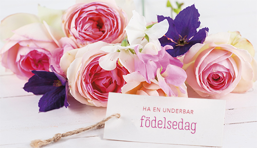 2-os syntymäpäivä R