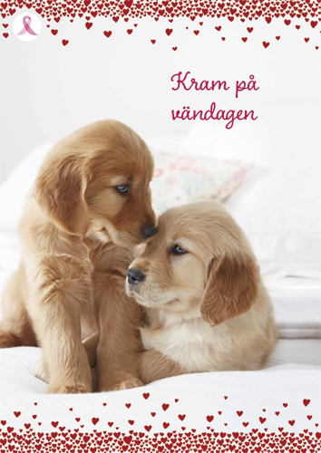 1-os ystävänpäivä R Roosa nauha PMM Hallmark