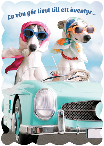 1-os ystävänpäivä R stanssattu Hallmark