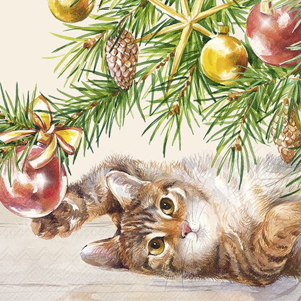 CHRISTMAS CAT cream 25cm