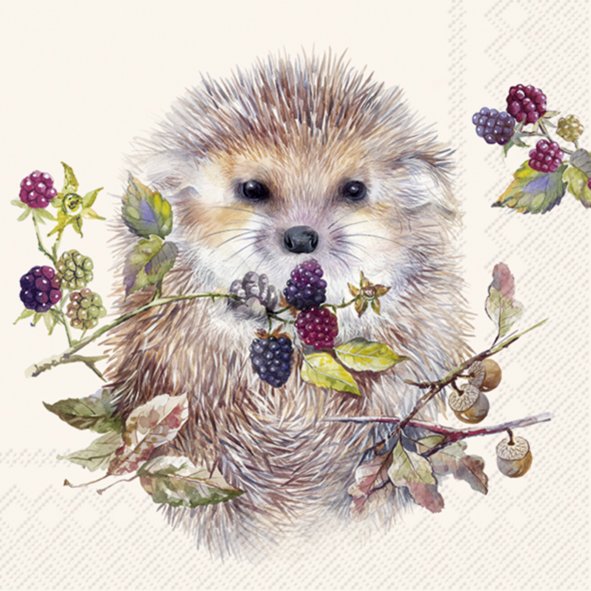 FOREST HEDGEHOG cream 33cm