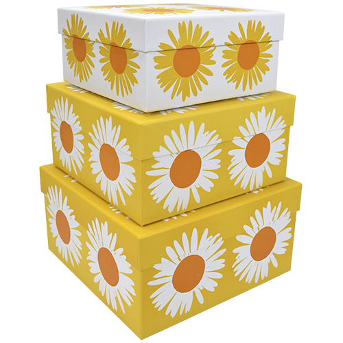 Lahjarasiasetti Marimekko Kakkara