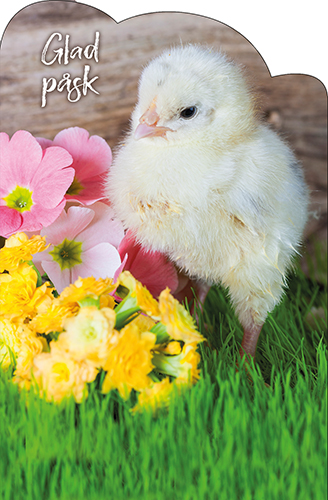 1-os pääsiäinen R stanssattu Jorma Jämsen