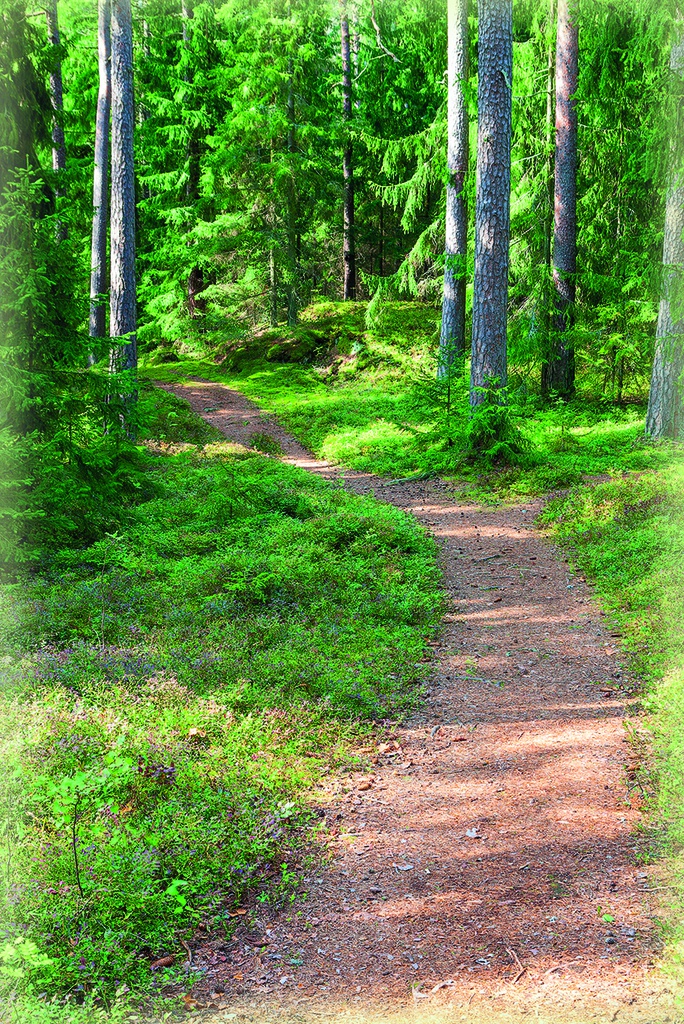 Pakettikortti tekstitön