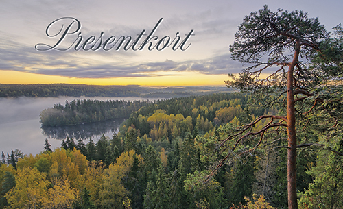 2-os Lahjakortti R 6 kpl pss