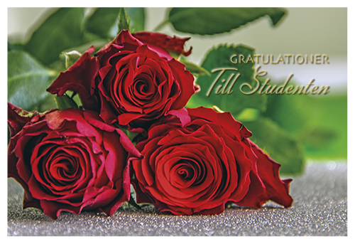 2-os Ylioppilas R setelitasku 