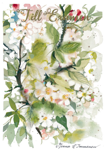 2-os Valmistunut R Minna Immonen