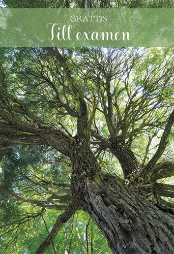 2-os Valmistunut R rahakuori