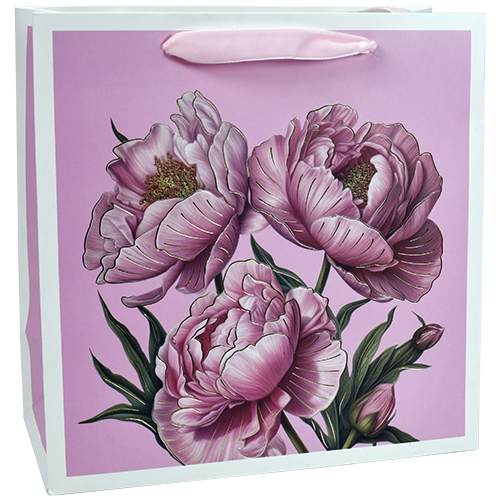 Lahjakassi M/E pionit