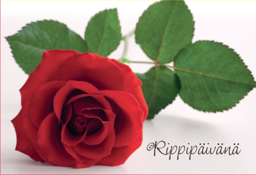2-os rippi rahakuori