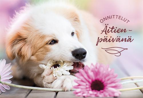 2-os äitienpäivänä