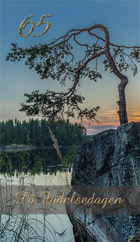 2-os vuosikortti R 65v