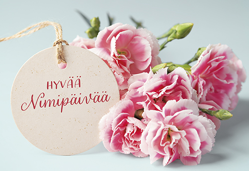 2-os Nimipäivä