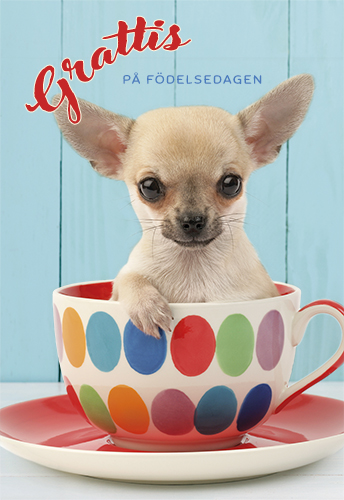 2-os syntymäpäivä R 