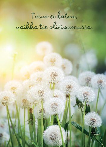 1-os kortti Mieli ry