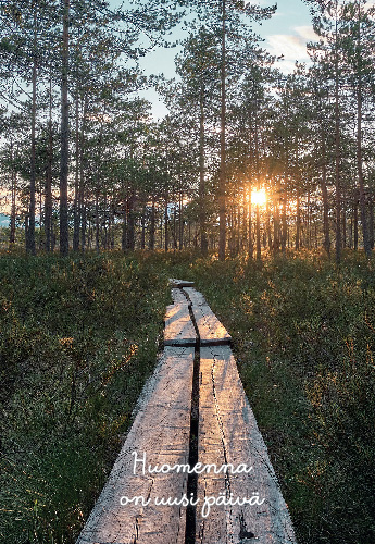 2-os kortti Mieli ry