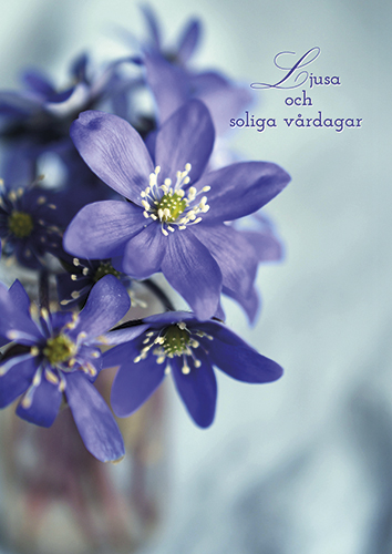 1-os kortti R kevät