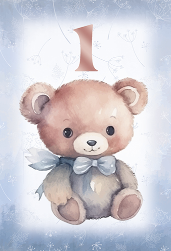 2-os vuosikortti 1v poika