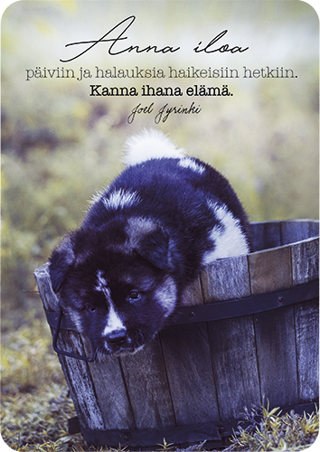 1-os kortti Joel Jyrinki