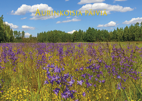 1-os kortti kesä