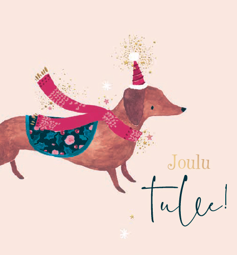 1-os joulu TMS koira