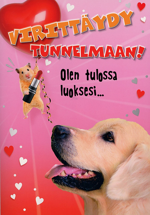 2-os äänikortti