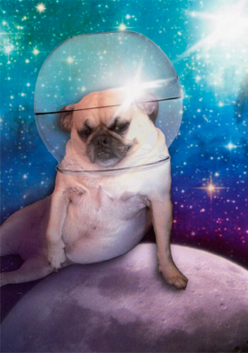 1-os Cosmic Pets 18