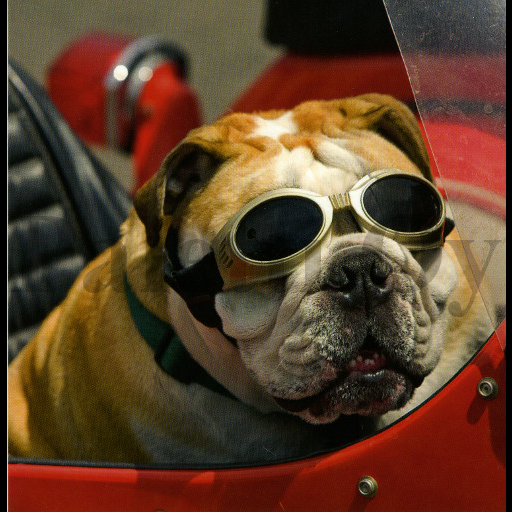 1-os neliökortti Aquarupella