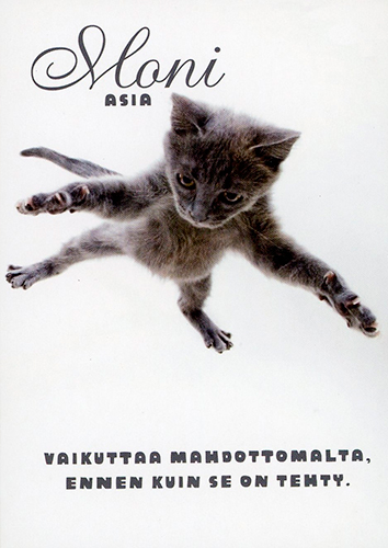 1-os ajatelmakortti kissat