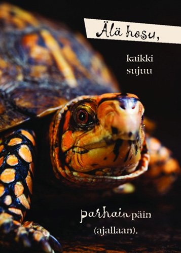 1-os eläinajatelma