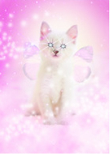1-os Cosmic Pets