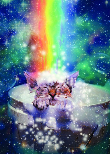 1-os Cosmic Pets