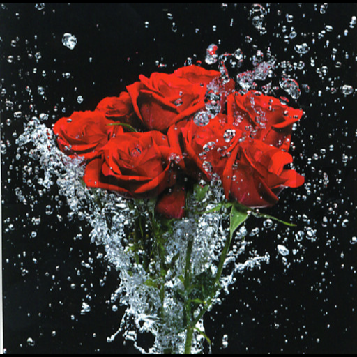 1-os Aquarupella Square 13,5 x 13,5