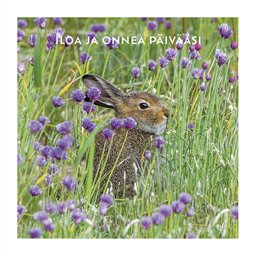 2-os neliökortti Luonto 14,5x14,5 cm