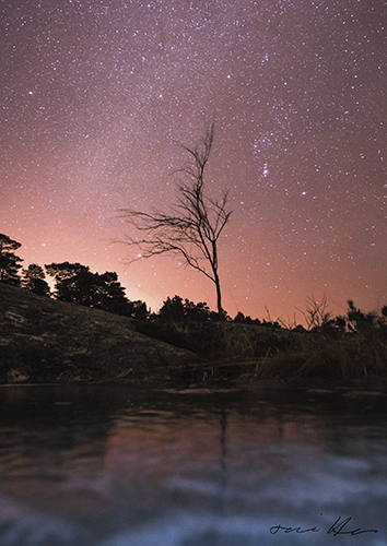 Juliste A4 Tommi Hynynen