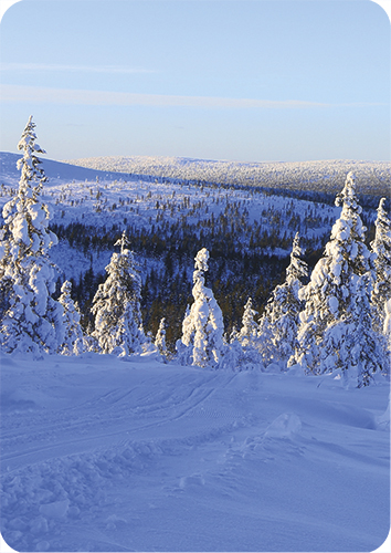 1-os kortti Tommi Hynynen