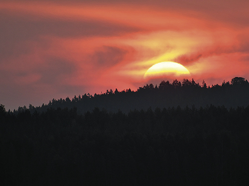 Juliste 30x40cm Auringon lasku