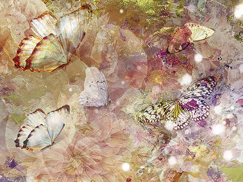 Juliste 60x80cm Vaaleat perhoset