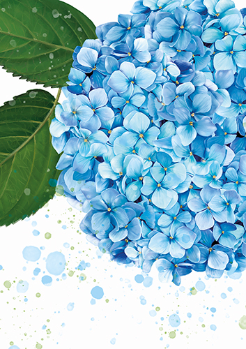 Vihko A5 MuttuRalla Kukka Hortensia