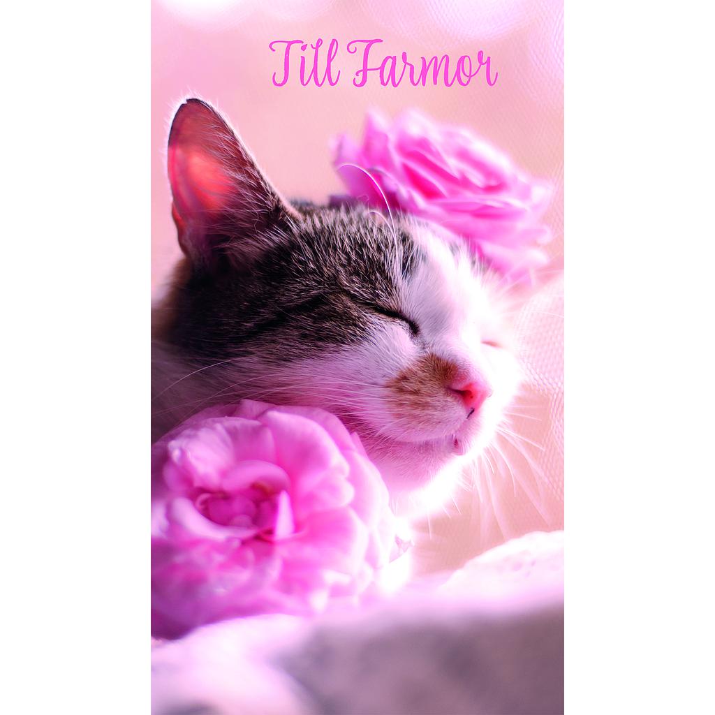 2-os Farmor