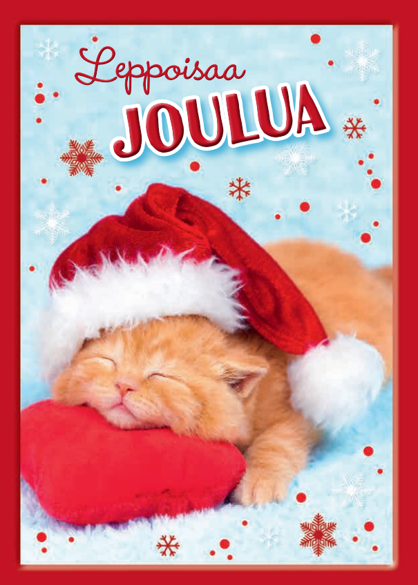 2-os joulu äänikortti