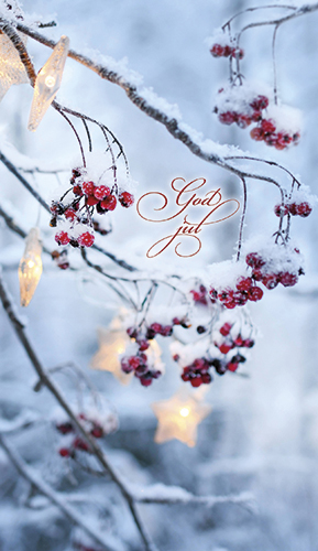 2-os joulu R Syöpäpotilaat PMM