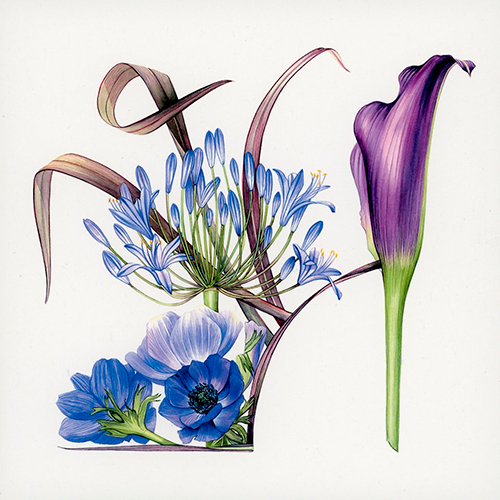 2-os neliökortti eko GlebeCottage